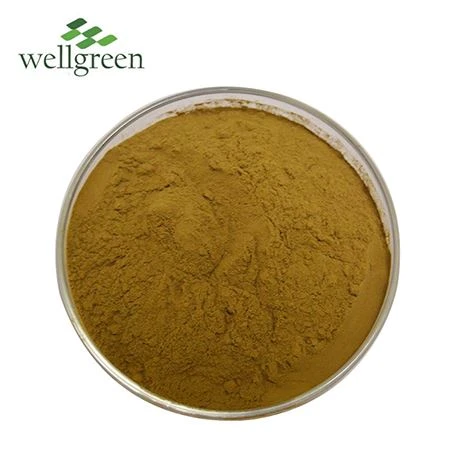 Polysaccharide powder 50% Ganoderma lucidum polysaccharide powder 50%