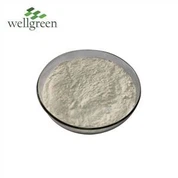 동결 건조 상어 연골 분말