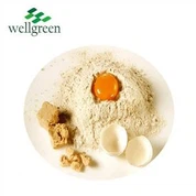 영양 효모 분말